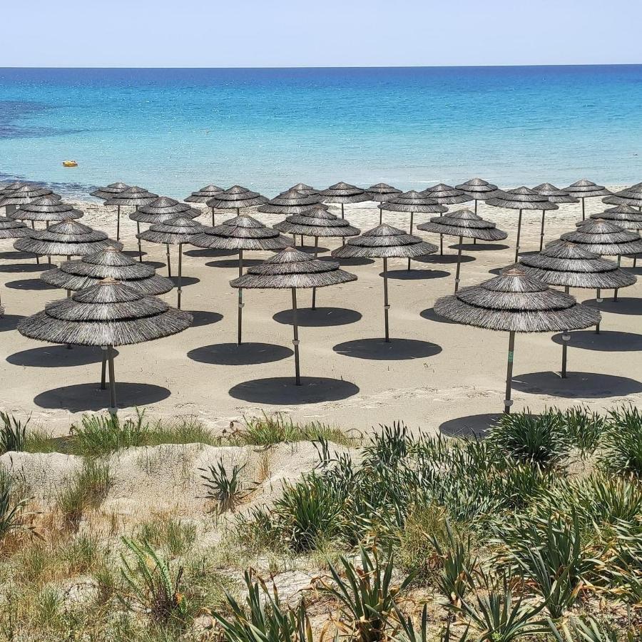 Narcissos 'Nissi Beach' Apartment C12 Айя Напа Екстериор снимка