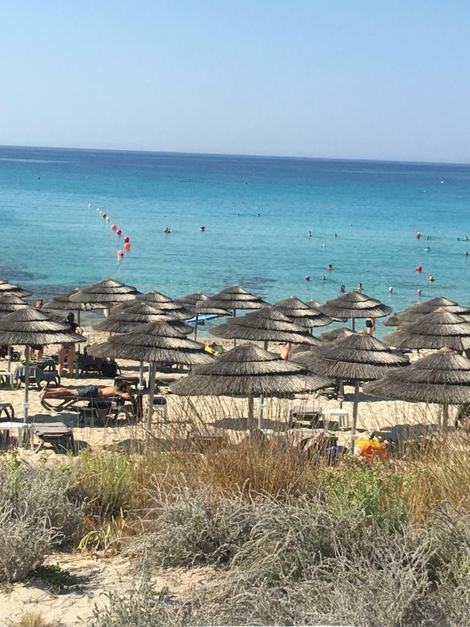Narcissos 'Nissi Beach' Apartment C12 Айя Напа Екстериор снимка