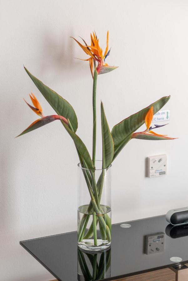 Narcissos 'Nissi Beach' Apartment C12 Айя Напа Екстериор снимка